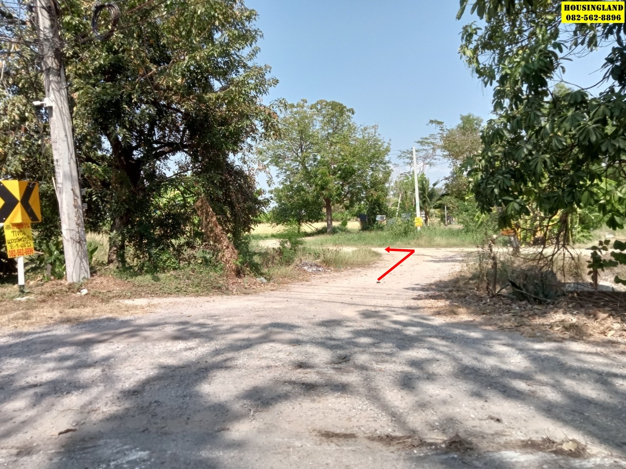 ขายที่ดินใกล้วัดวังบัว  ตำบลพิกุลออก  อำเภอบ้านนา จังหวัดนครนายก
